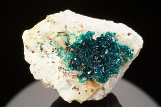 RARE Veszelyite Crystal Cluster BLACK PINE MINE,  MONTANA - Ex.  Jensen 3