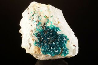 RARE Veszelyite Crystal Cluster BLACK PINE MINE,  MONTANA - Ex.  Jensen 4