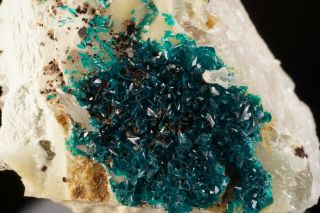 RARE Veszelyite Crystal Cluster BLACK PINE MINE,  MONTANA - Ex.  Jensen 5