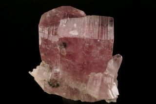 EXTRAORDINARY GEM Purplish Pink Albite Crystal KHYBER,  PAKISTAN 3