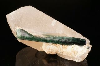Classic Blue Green Tourmaline & Quartz Crystal Pedeneira Mine,  Brazil