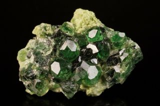 UNIQUE Chrome Grossular Crystal JEFFREY MINE,  CANADA - Ex.  Key 3