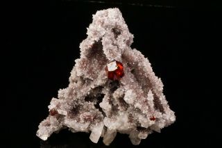 GEM Sphalerite Crystal on Quartz SHUIKOUSHAN,  CHINA 10