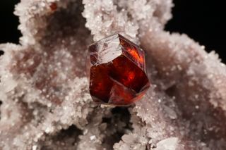 GEM Sphalerite Crystal on Quartz SHUIKOUSHAN,  CHINA 11