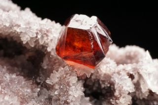 GEM Sphalerite Crystal on Quartz SHUIKOUSHAN,  CHINA 4