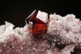 GEM Sphalerite Crystal on Quartz SHUIKOUSHAN,  CHINA 5