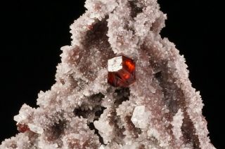 GEM Sphalerite Crystal on Quartz SHUIKOUSHAN,  CHINA 6