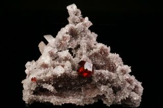 GEM Sphalerite Crystal on Quartz SHUIKOUSHAN,  CHINA 7
