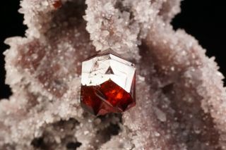 GEM Sphalerite Crystal on Quartz SHUIKOUSHAN,  CHINA 8