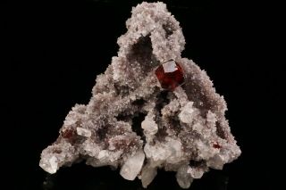 GEM Sphalerite Crystal on Quartz SHUIKOUSHAN,  CHINA 9