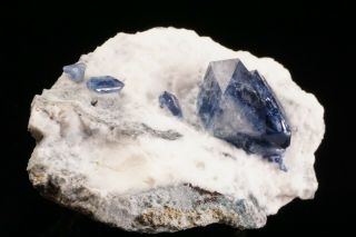 Benitoite Crystal Cluster Dallas Gem Mine,  California