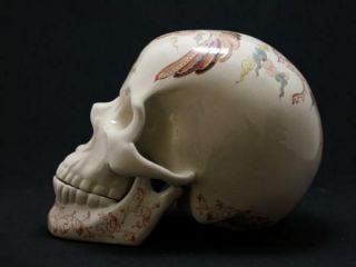 Kutani - Yaki Skull Large Limited Porcelain Handmade From Japa【houou - Mon】