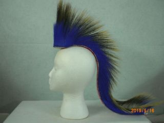 Porcupine Roach,  Royal Blue,  22 Inch Out,  White With Red Stripes Yarn Base