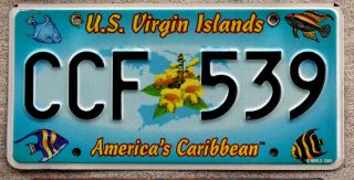 Virgin Islands License Plate With Swimming Fish And Yellow Trumpetbush St Croix