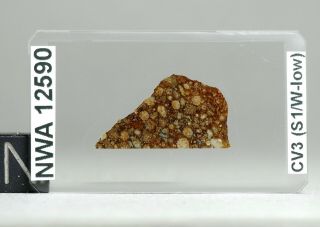 Meteorite Nwa 12590 - Cv3 Carbonaceous Chondrite - Thin Section Microscope Slide