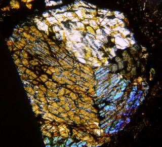 Meteorite NWA 12590 - CV3 Carbonaceous Chondrite - Thin Section microscope slide 2