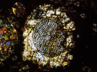 Meteorite NWA 12590 - CV3 Carbonaceous Chondrite - Thin Section microscope slide 3