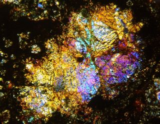 Meteorite NWA 12590 - CV3 Carbonaceous Chondrite - Thin Section microscope slide 6