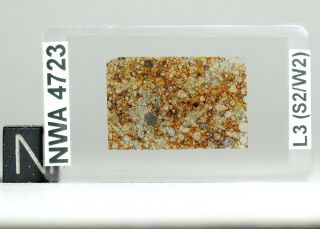 Meteorite NWA 4723 - L3 Chondrite Thin Section microscope slide 2