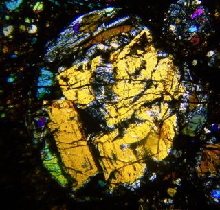 Meteorite NWA 4723 - L3 Chondrite Thin Section microscope slide 4