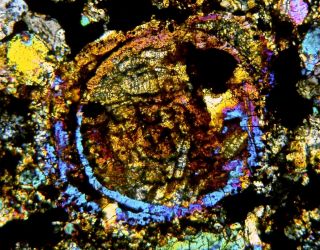 Meteorite CLARENDON (c) - Big L4 Chondrite Texas find 2015 Thin Section 4