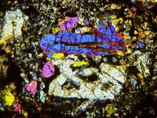 Meteorite CLARENDON (c) - Big L4 Chondrite Texas find 2015 Thin Section 6