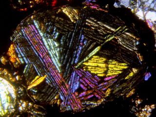 Meteorite Nwa 8773 - L3 (s2/w2) Chondrite - Thin Section Microscope Slide