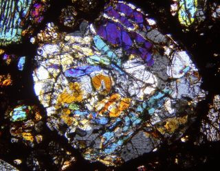 Meteorite NWA 8773 - L3 (S2/W2) Chondrite - Thin Section microscope slide 3