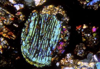 Meteorite NWA 8773 - L3 (S2/W2) Chondrite - Thin Section microscope slide 4