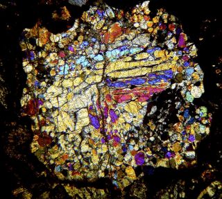 Meteorite NWA 8773 - L3 (S2/W2) Chondrite - Thin Section microscope slide 5
