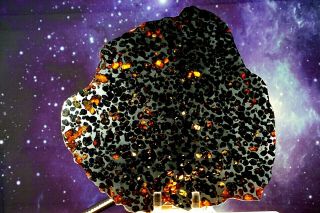 Sericho Pallasite Meteorite from Kenya Africa Habaswein 472.  3g complete slice 2