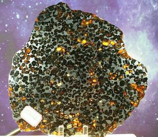 Sericho Pallasite Meteorite from Kenya Africa Habaswein 472.  3g complete slice 4