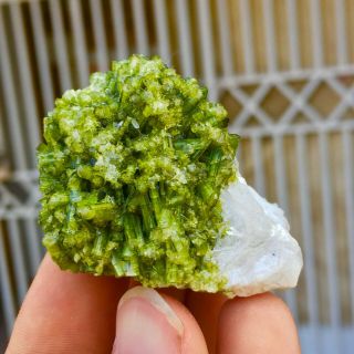 Wow 274 C.  T Top Quality Damage Terminated Green Color Tourmaline Specimen