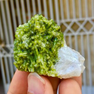 Wow 274 C.  T Top Quality Damage Terminated Green Color Tourmaline Specimen 2