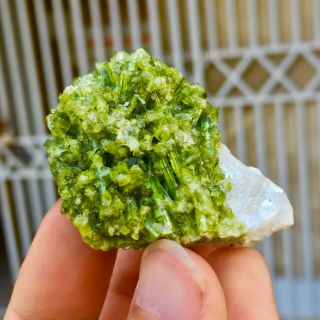 Wow 274 C.  T Top Quality Damage Terminated Green Color Tourmaline Specimen 3