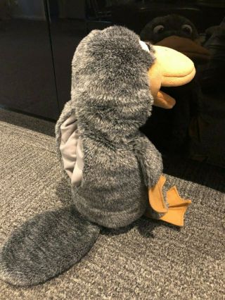 P - P - P - Platypus Starter Puppet By Axtell Expressions