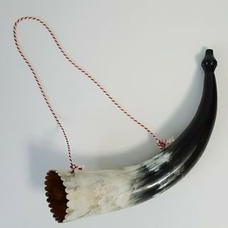 Plastic Norwegian Viking Horn For Costume Cosplay Dress Up Stavenger Norway