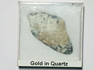 SUNNYSIDE MINE COLORADO GOLD IN QUARTZ,  77.  3 CARATS or 15.  46 GRAMS 5