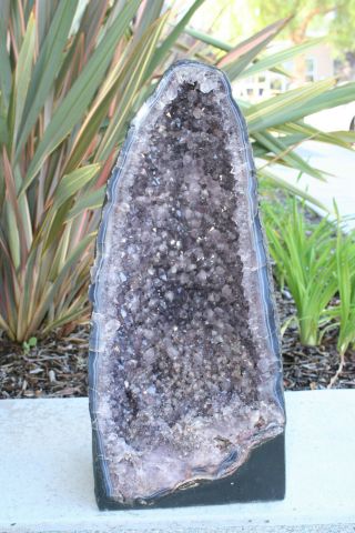 Amethyst Geode 104.  68 Lbs 25 3/4 " Tall (r.  677)