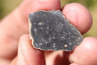 Lunar Meteorite Nwa 11474 Meteorite Full Slice 1.  9 Grams