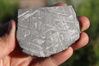 Muonionalusta Meteorite Etched Part Slice 113.  2 Grams
