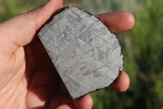 Muonionalusta meteorite etched part slice 113.  2 grams 2