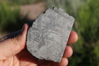 Muonionalusta meteorite etched part slice 113.  2 grams 3