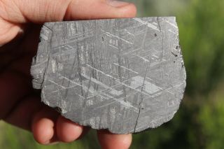 Muonionalusta meteorite etched part slice 113.  2 grams 4
