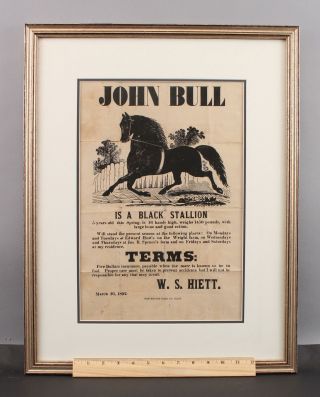 19thC Antique JOHN BULL Black Stallion Horse,  Stud Service,  Broadside Poster NR 2
