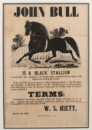19thC Antique JOHN BULL Black Stallion Horse,  Stud Service,  Broadside Poster NR 3