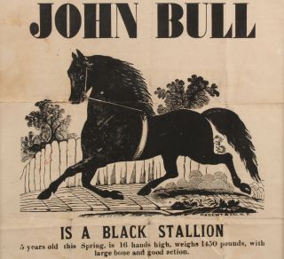 19thC Antique JOHN BULL Black Stallion Horse,  Stud Service,  Broadside Poster NR 4