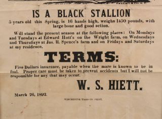 19thC Antique JOHN BULL Black Stallion Horse,  Stud Service,  Broadside Poster NR 5