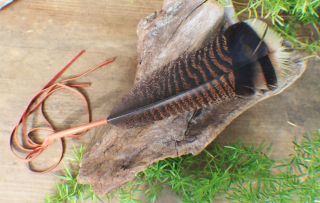 Prayer Feather W/ Deer Leather Fringe Cherokee Made William Lattie Cert Of Auth
