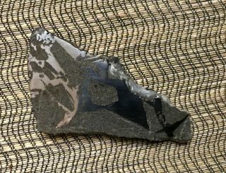 Portales Valley Meteorite,  Mexico Full Slice 54 Grams Chrondrite